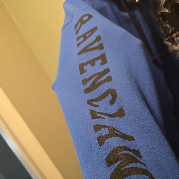 Blue Ravenclaw Hoodie - Picture 4 of 6